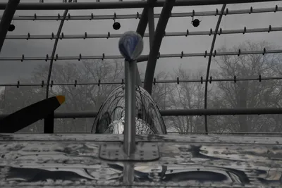 DSC_7088 (Large).JPG